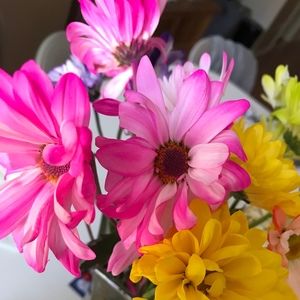 Meet your Posher, Kay